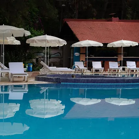 Otel Festival Nature 4*