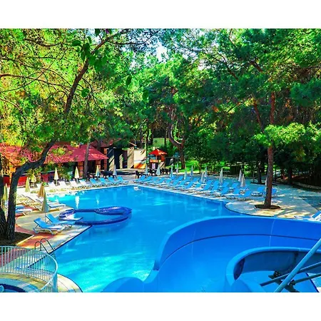 Festival Nature Hotel